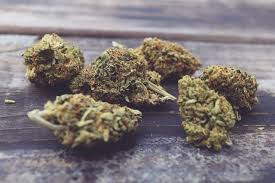 Flores CBD Outdoor
