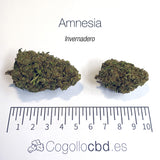 AMNESIA HAZE 5.43% CBD - Invernadero