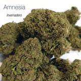 AMNESIA HAZE 5.43% CBD - Invernadero