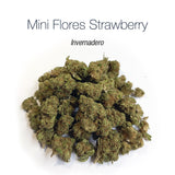 Mini Flores STRAWBERRY - Invernadero