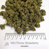 Mini Flores STRAWBERRY - Invernadero