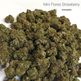 Mini Flores STRAWBERRY - Invernadero