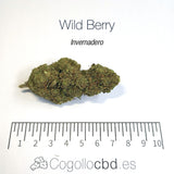WILD BERRY 7.25% CBD - Invernadero