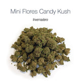 Mini Flores CANDY KUSH - Invernadero