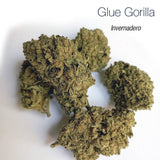 GLUE GORILLA 5.19% CBD - Invernadero