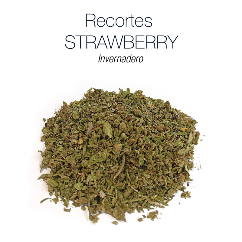Recortes STRAWBERRY - Invernadero