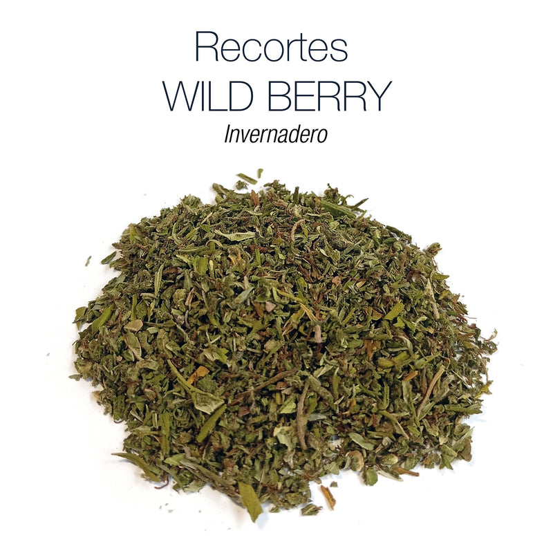 Recortes WILD BERRY - Invernadero