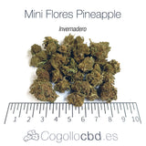 Mini Flores PINEAPPLE 5.8% CBD - Invernadero