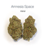 AMNESIA SPACE - Interior