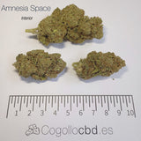 AMNESIA SPACE - Interior