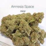 AMNESIA SPACE - Interior