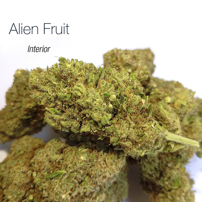 ALIEN FRUIT 9.07% CBD - Interior