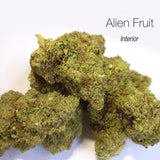 ALIEN FRUIT 9.07% CBD - Interior