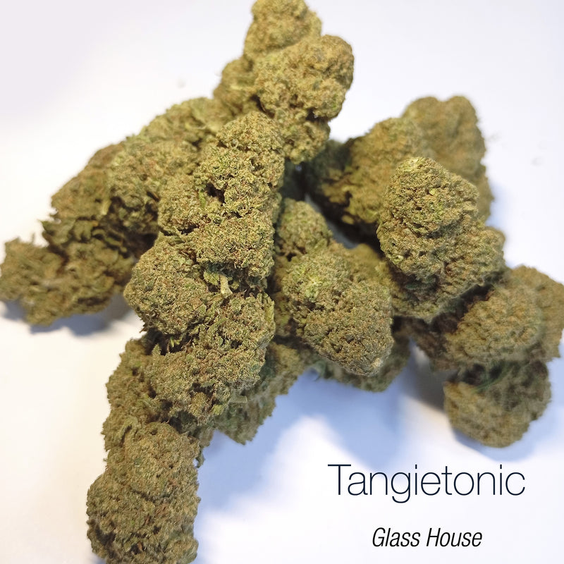 TANGIETONIC 9.24% CBD - Glass House