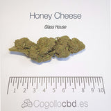 HONEY CHEESE 8.4% CBD - Glass House