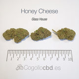 HONEY CHEESE 8.4% CBD - Glass House