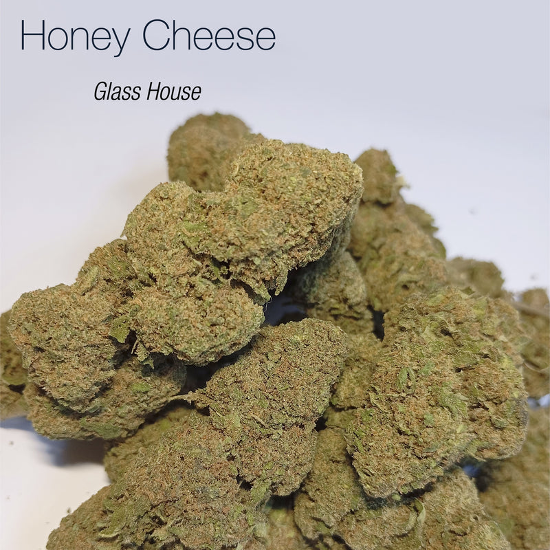 HONEY CHEESE 8.4% CBD - Glass House
