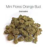 Mini Flores ORANGE BUD - Invernadero