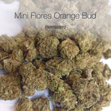 Mini Flores ORANGE BUD - Invernadero