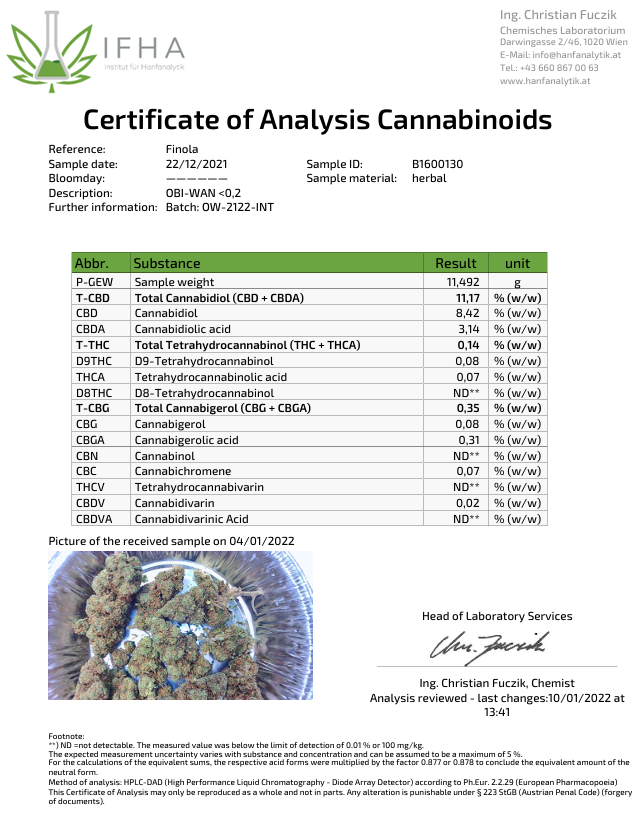 Mini Flores OBI WAN- cogollo CBD