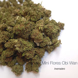 Mini Flores OBI WAN- cogollo CBD