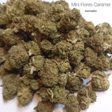 Mini Flores CARAMEL - Invernadero