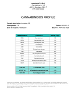 AMNESIA HAZE 5.43% CBD - Invernadero