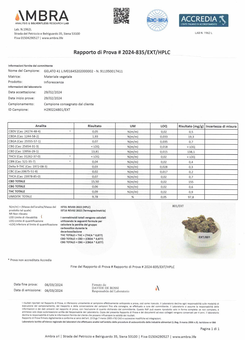 GELATTO 41 15.5% CBD - Glass House