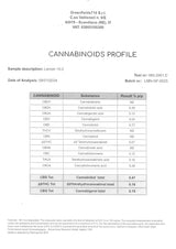 Mini Flores LEMON HAZE 5.41% CBD - Invernadero