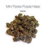 Mini Flores PURPLE HAZE - Exterior