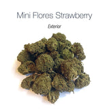 Mini Flores STRAWBERRY - Exterior