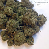 Mini Flores STRAWBERRY - Exterior