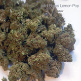 Mini Flores LEMON POP - Exterior