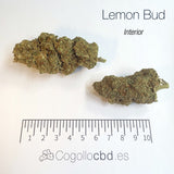 LEMON BUD 5.4% CBD - Interior