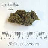 LEMON BUD 5.4% CBD - Interior