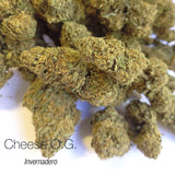 CHEESE O.G. 7.3% CBD - Invernadero