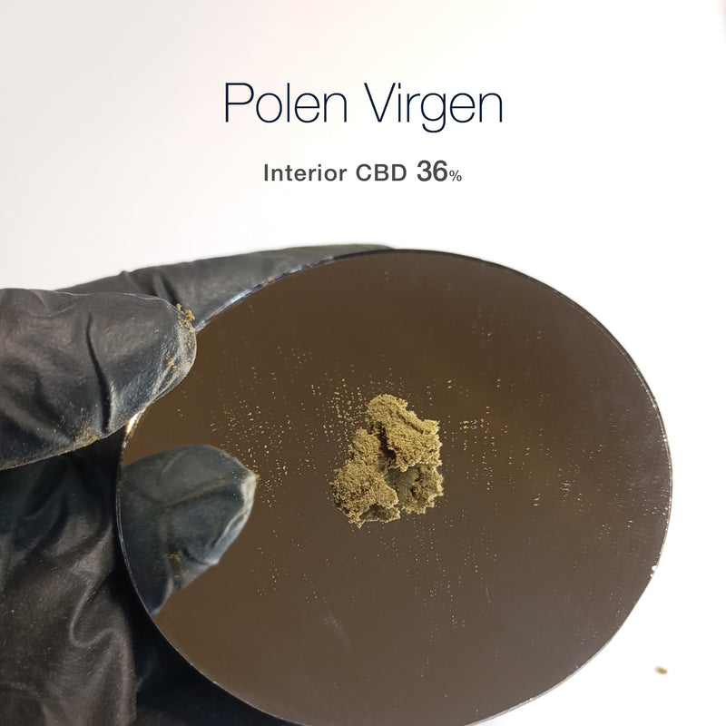POLEN VIRGEN Edición Limitada