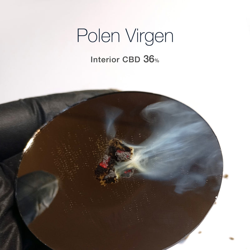 POLEN VIRGEN Edición Limitada