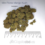 Mini Flores MANGO KUSH - Invernadero