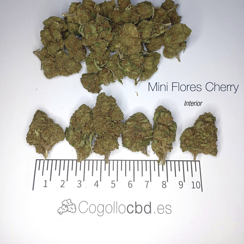 Mini Flores CHERRY 17.8% CBD - Interior