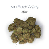 Mini Flores CHERRY 17.8% CBD - Interior