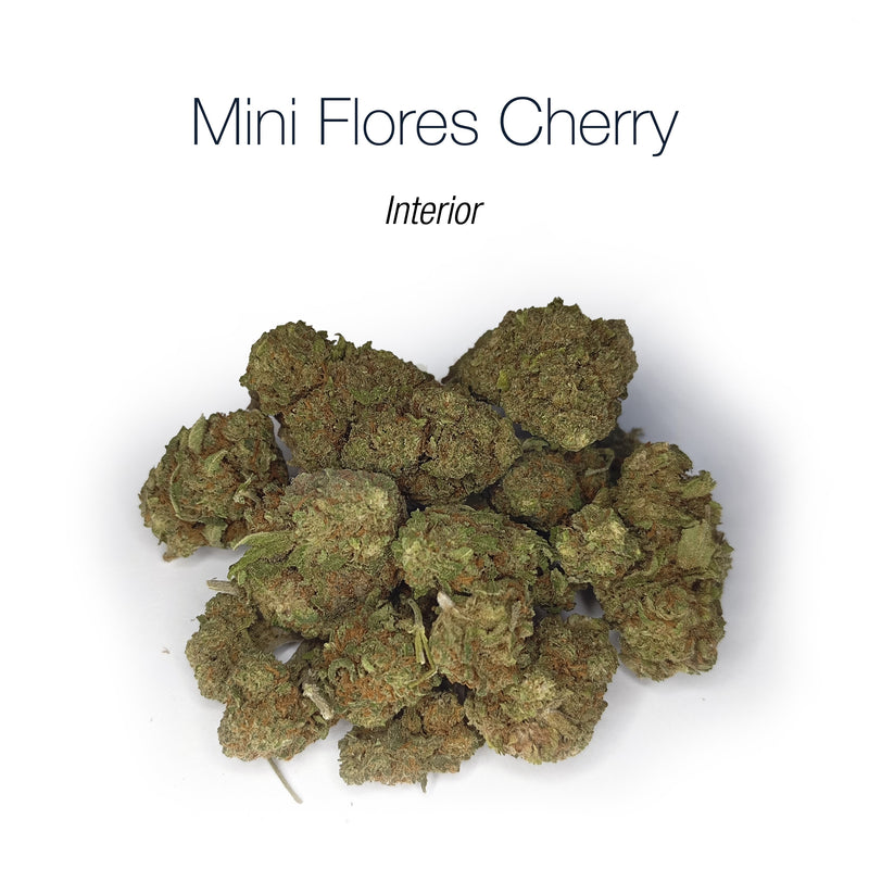 Mini Flores CHERRY 17.8% CBD - Interior