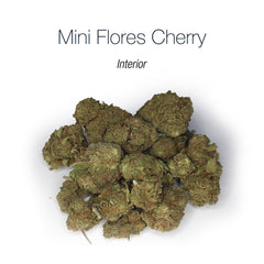 Mini Flores CHERRY 17.8% CBD - Interior