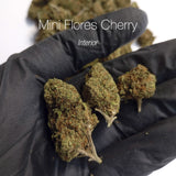 Mini Flores CHERRY 17.8% CBD - Interior