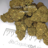 SWEET CARAMEL - Invernadero