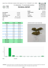 CALIFORNIA DREAM 11.26% CBD - Invernadero