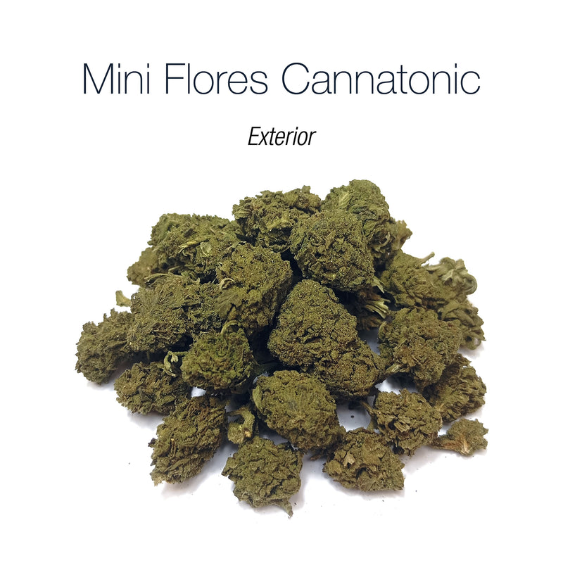 Mini Flores CANNATONIC - Exterior