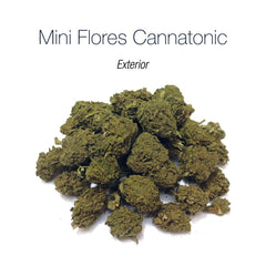 Mini Flores CANNATONIC - Exterior