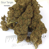 SOUR TANGIE 8% CBD - Invernadero