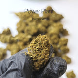 POWER PLANT 17.3% CBD - Invernadero